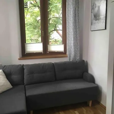 아파트 Blisko Milo Ladnie W Centrum Zakopanego 자코파네